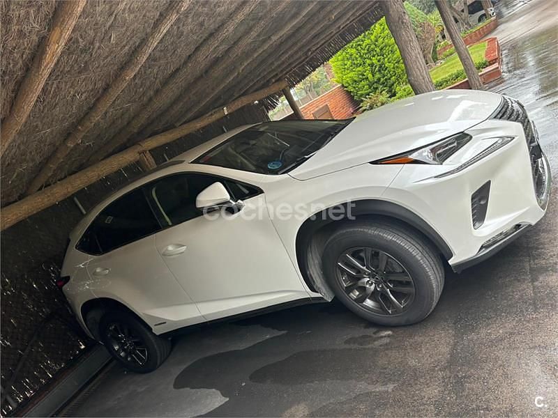 Usado Lexus NX300h Executive Line 197 CV (144 kW) 2020 Blanco SUV