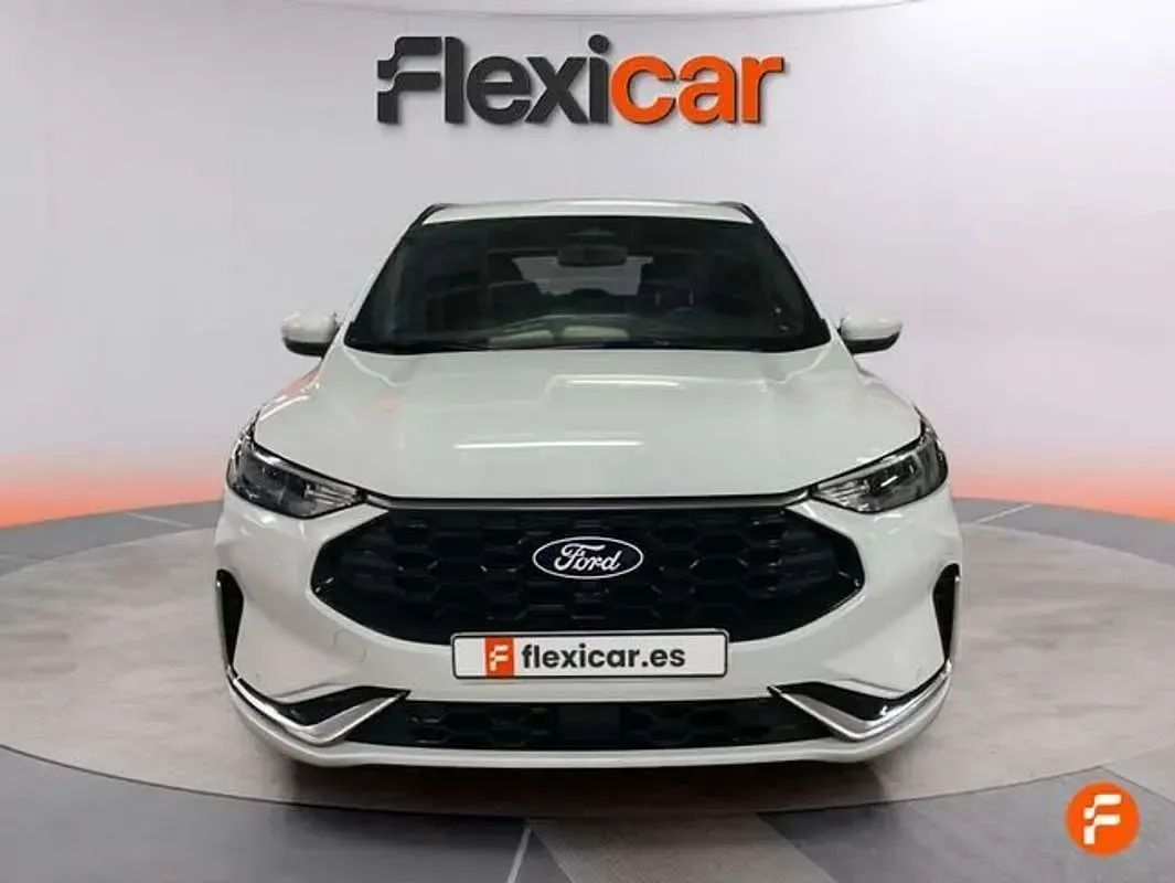 Usado Ford Kuga ST-Line 243 CV (178 kW) 2024 Blanco SUV