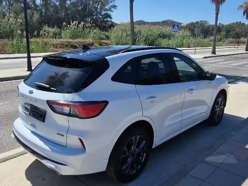 Usado Ford Kuga ST-Line 225 CV (165 kW) 2022 Blanco SUV
