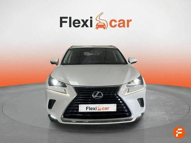 Usado Lexus NX300h Business Edition 197 CV (144 kW) 2019 Blanco SUV