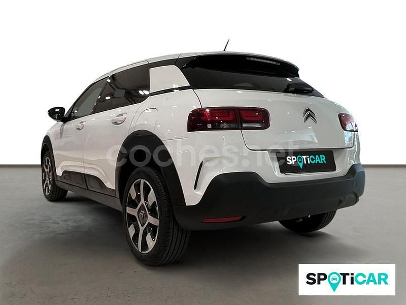 Usado Citroën C4 Cactus Shine 120 CV (88 kW) 2019 Blanco Utilitario