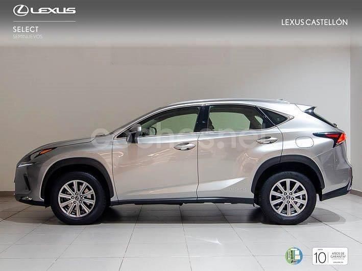 Usado Lexus NX300h Business Edition 197 CV (144 kW) 2019 Gris / plata SUV