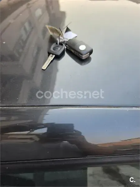 Usado Seat Ibiza Reference 105 CV (77 kW) 2009 Gris / plata Berlina