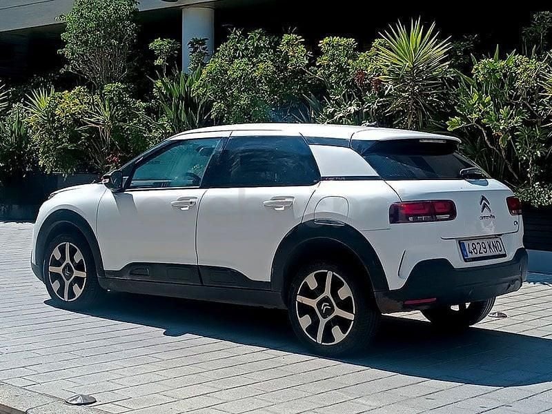 Usado Citroën C4 Cactus Business Class 102 CV (75 kW) 2019 Blanco Utilitario
