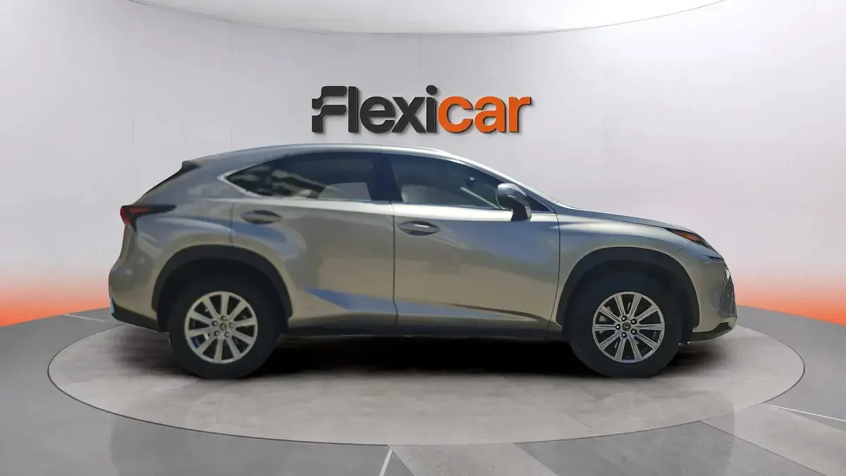 Usado Lexus NX300h Business Edition 197 CV (144 kW) 2020 Gris SUV