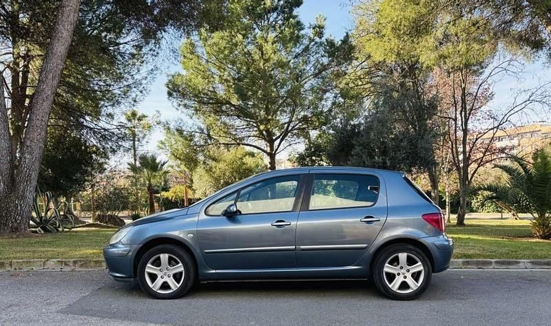Usado Peugeot 307 136 CV (100 kW) 2006 Gris Utilitario