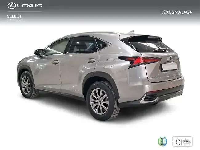 Usado Lexus NX300h Business Edition 197 CV (144 kW) 2018 Gris SUV
