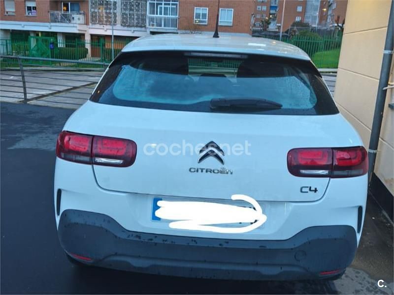 Usado Citroën C4 Cactus Business Class 102 CV (75 kW) 2019 Blanco Utilitario