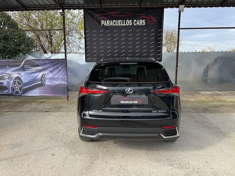 Usado Lexus NX300h Luxury Line 197 CV (144 kW) 2020 Negro SUV