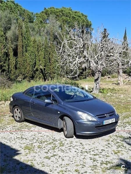 Usado Peugeot 307 CC 138 CV (101 kW) 2005 Gris / plata Descapotable