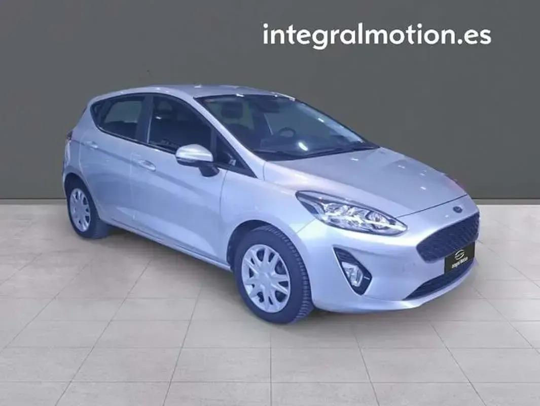 Usado Ford Fiesta Trend 75 CV (55 kW) 2019 Gris Utilitario