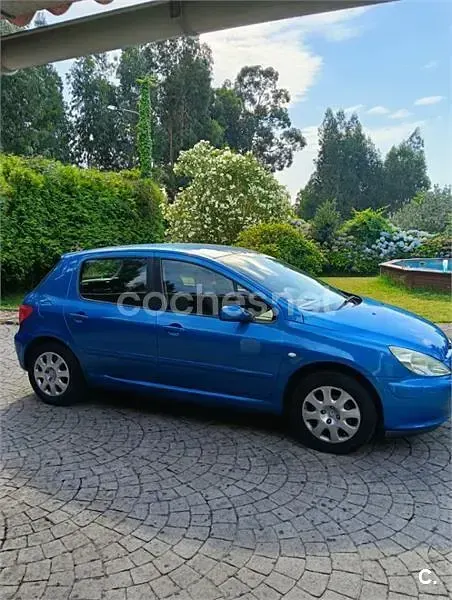 Usado Peugeot 307 110 CV (80 kW) 2005 Azul Berlina
