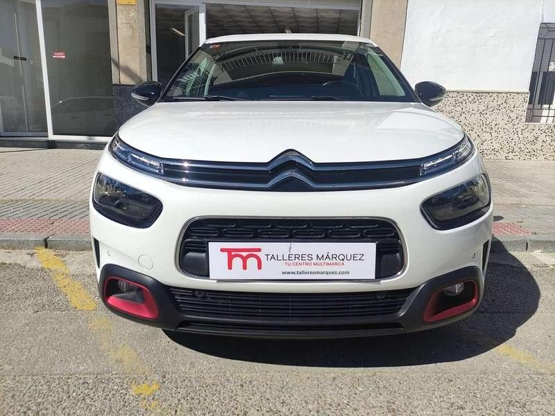 Brugt Citroën C4 Cactus Shine 120 HK (88 kW) 2020 Hvid Hatchback