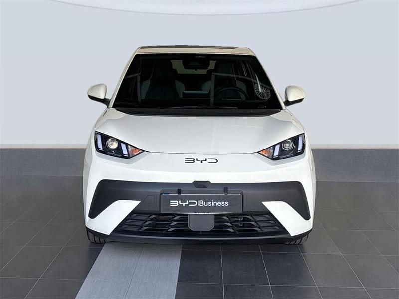 Nuevo BYD Dolphin Surf Boost 64 kW (88 CV) 2025 Apricity white Utilitario