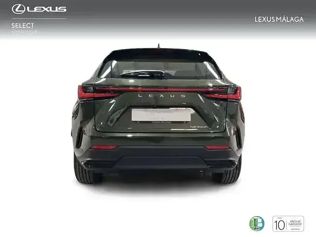 Nuevo Lexus NX350h 242 CV (177 kW) 2026 Verde SUV