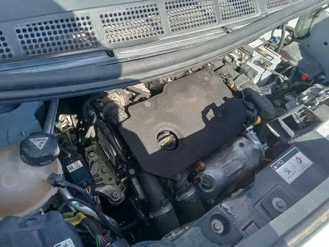 Usado Peugeot Expert S 120 CV (88 kW) 2022 Blanco Van