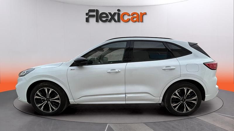 Usado Ford Kuga ST-Line 182 CV (133 kW) 2024 Blanco SUV