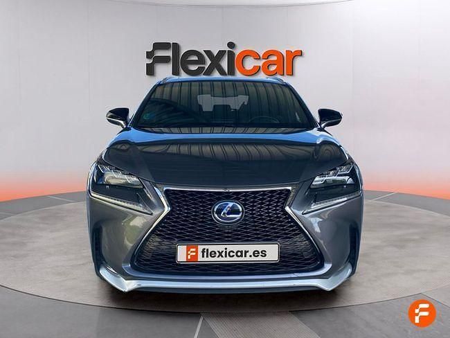 Usado Lexus NX300h Sport Line 197 CV (144 kW) 2017 Gris SUV