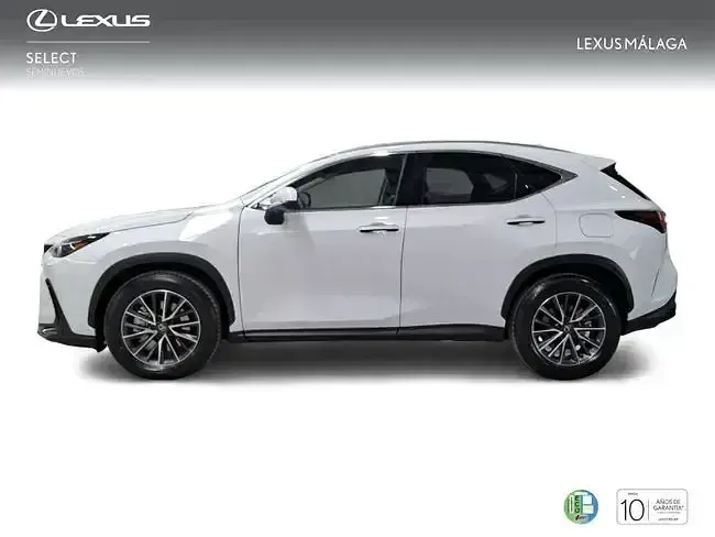 Nuevo Lexus NX450h+ 292 CV (214 kW) 2026 Blanco SUV