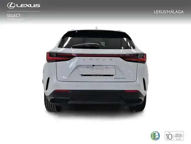 Nuevo Lexus NX450h+ 292 CV (214 kW) 2026 Blanco SUV