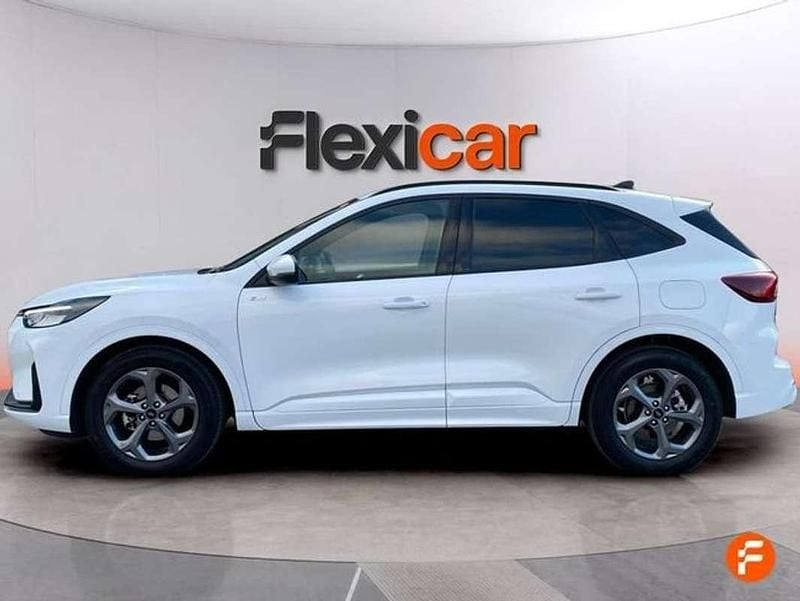 Usado Ford Kuga ST-Line 150 CV (110 kW) 2025 Blanco SUV