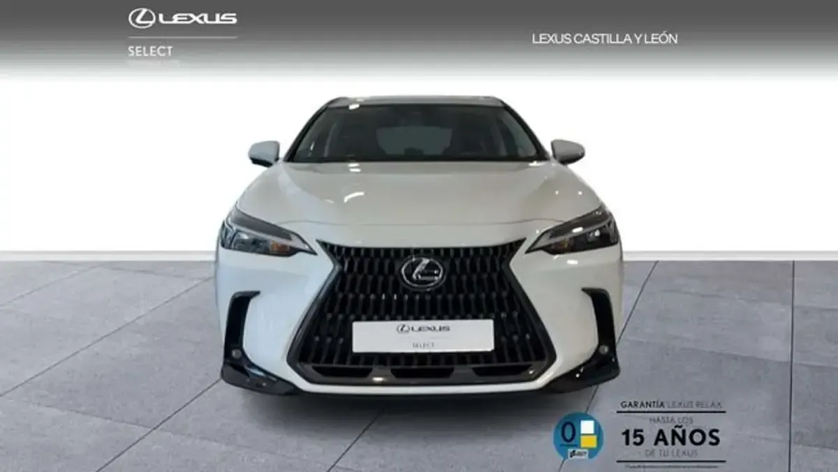 Usado Lexus NX450h+ 292 CV (214 kW) 2025 Blanco SUV