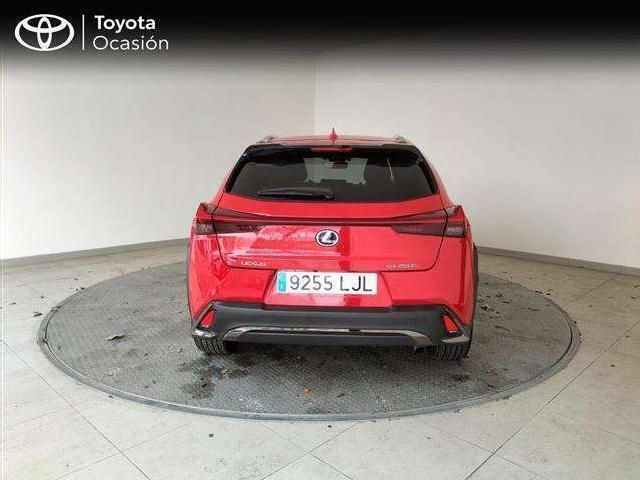 Usado Lexus UX 250h Sport Line 184 CV (135 kW) 2020 SUV
