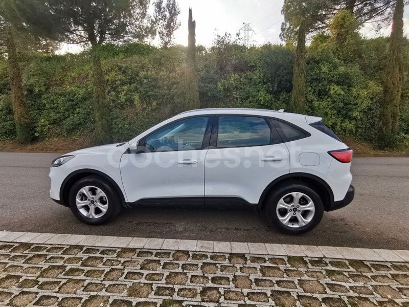 Usado Ford Kuga Trend 120 CV (88 kW) 2020 Blanco SUV