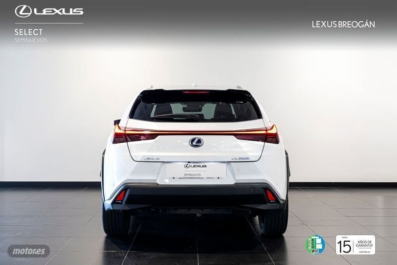 Usado Lexus UX 250h Executive Line 184 CV (135 kW) 2020 Blanco SUV