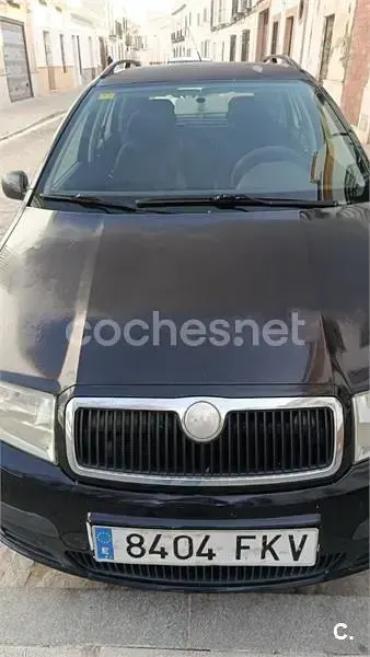 Usado Skoda Fabia Comfort 101 CV (74 kW) 2007 Negro Familiar