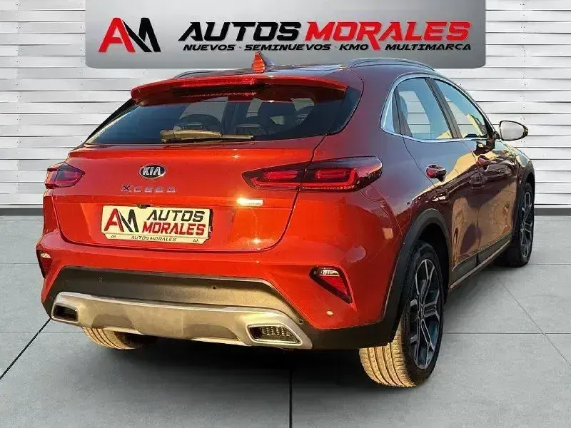 Usado Kia XCeed 141 CV (103 kW) 2020 Naranja SUV