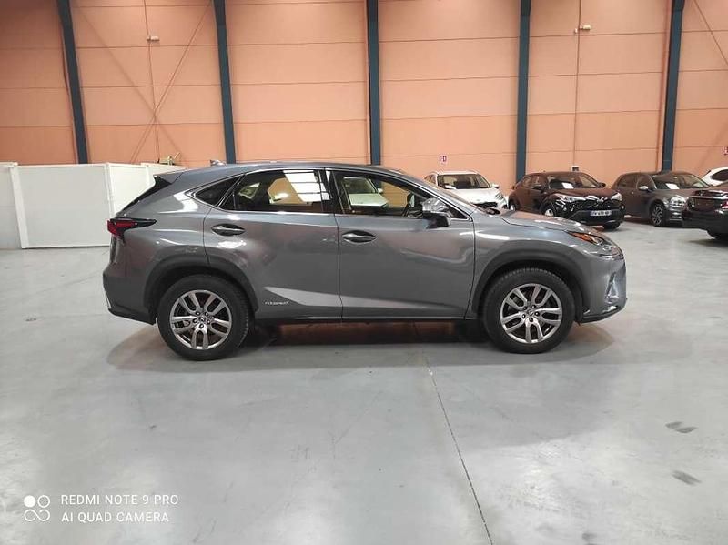 Usado Lexus NX300h 197 CV (144 kW) 2021 Gris SUV