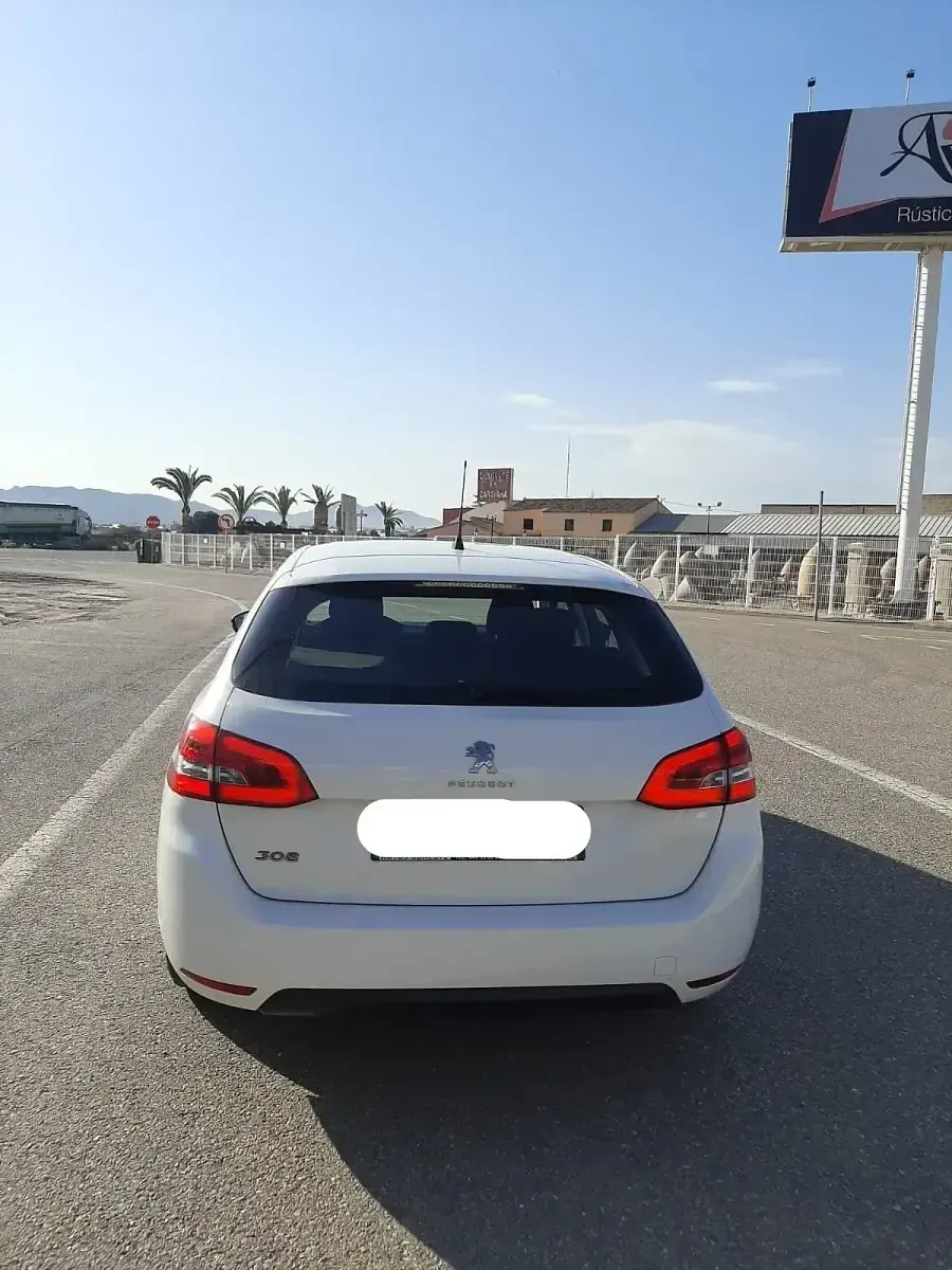 Usado Peugeot 308 SW Access 100 CV (73 kW) 2019 Blanco Familiar