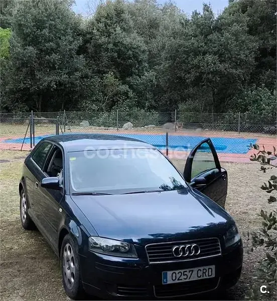 Używany Audi A3 Ambiente 102 KM (75 kW) 2004 Niebieski Hatchback