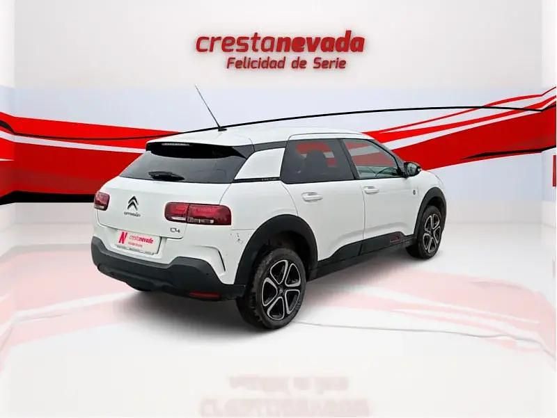 Usado Citroën C4 Cactus 102 CV (75 kW) 2020 Blanco Utilitario