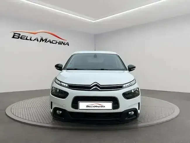 Usado Citroën C4 Cactus Shine 100 CV (73 kW) 2019 Blanco Utilitario