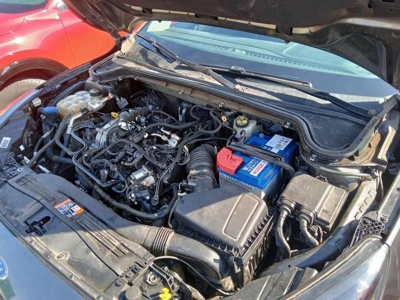 Usado Ford Focus Trend+ 125 CV (91 kW) 2020 Gris Familiar