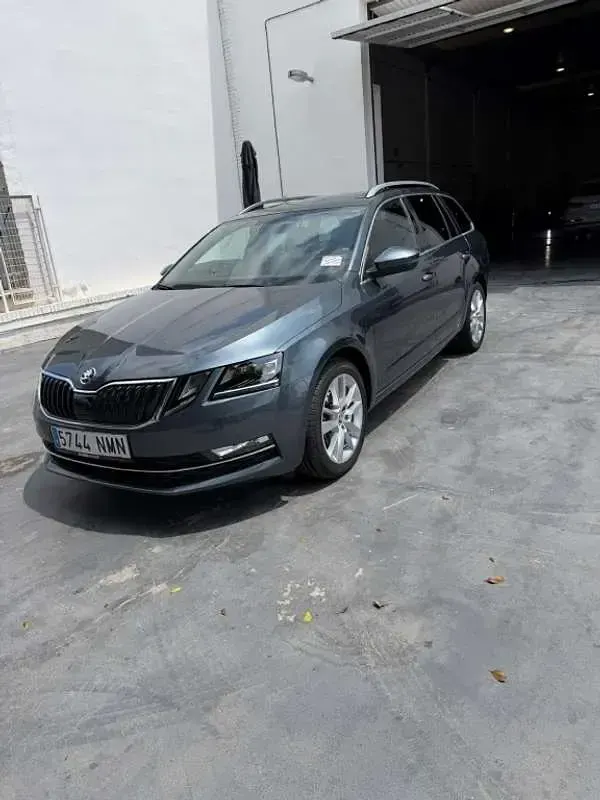 Occasion Skoda Octavia Ambition 116 ch (85 kW) 2019 Gris Break