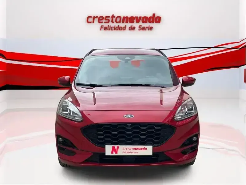 Usado Ford Kuga ST-Line X 150 CV (110 kW) 2020 Granate SUV