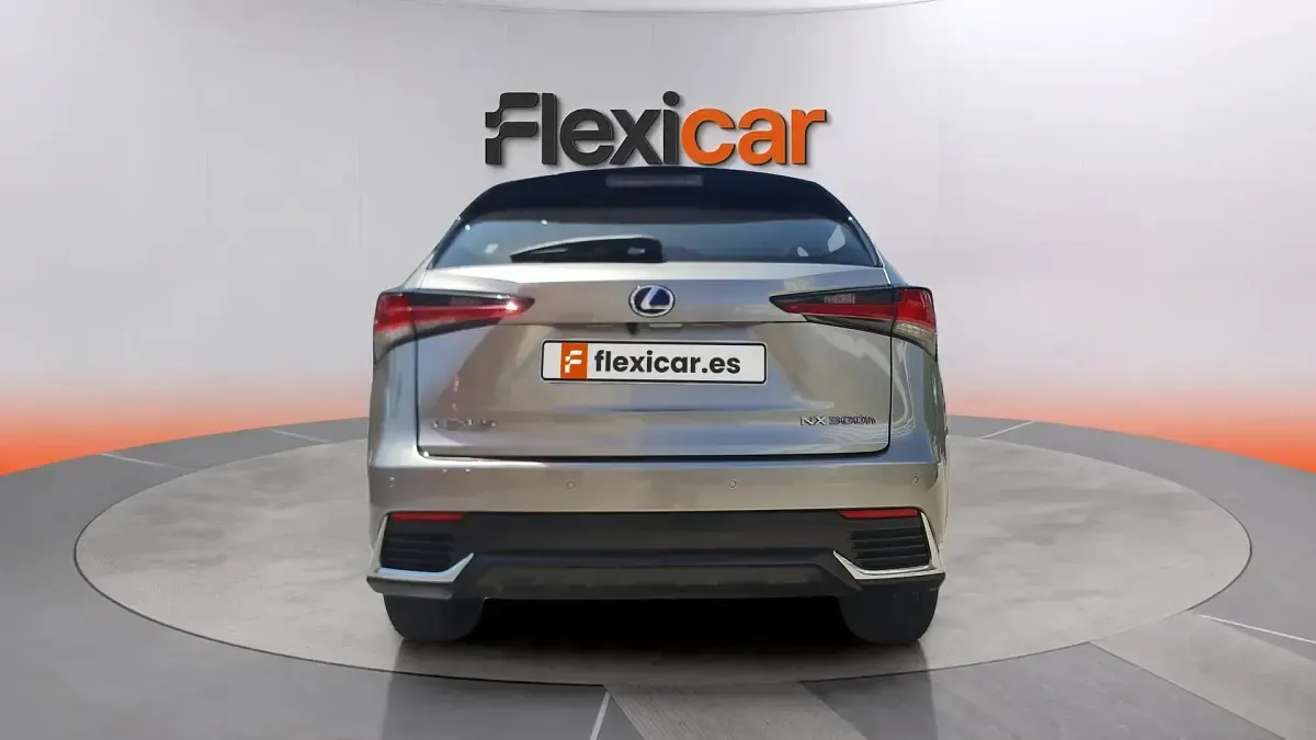 Usado Lexus NX300h Business Edition 197 CV (144 kW) 2020 Gris SUV