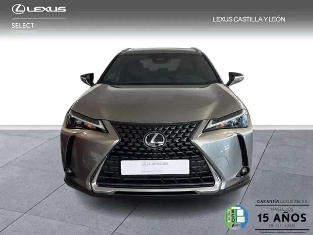 Usado Lexus UX 300h 199 CV (146 kW) 2025 Gris SUV
