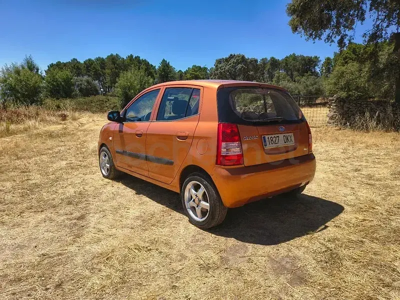 Usado Kia Picanto LX 65 CV (47 kW) 2005 Naranja Utilitario