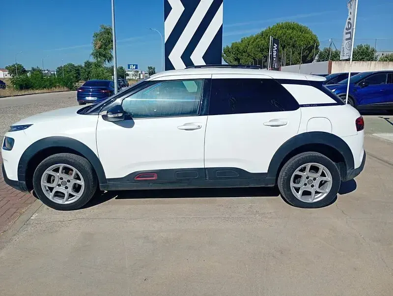 Usado Citroën C4 Cactus Shine 100 CV (73 kW) 2020 Blanco Utilitario
