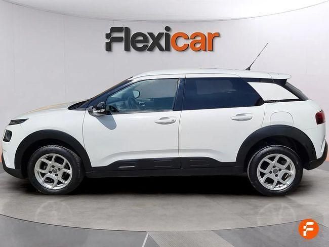 Usado Citroën C4 Cactus Feel 99 CV (72 kW) 2019 Blanco Utilitario