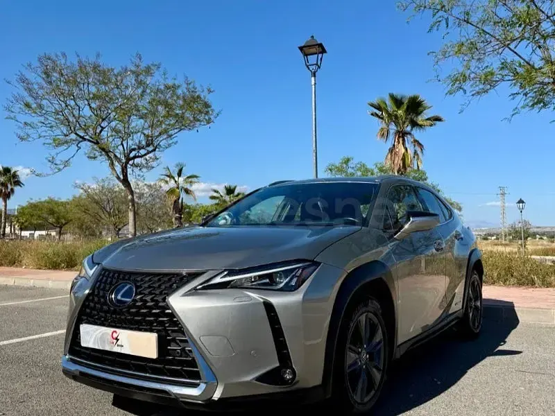 Usado Lexus UX Business Edition 184 CV (135 kW) 2020 Gris / plata SUV