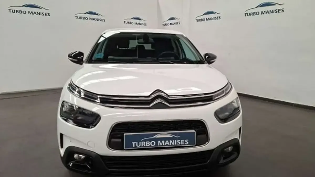 Usado Citroën C4 Cactus Shine 99 CV (72 kW) 2019 Blanco Utilitario