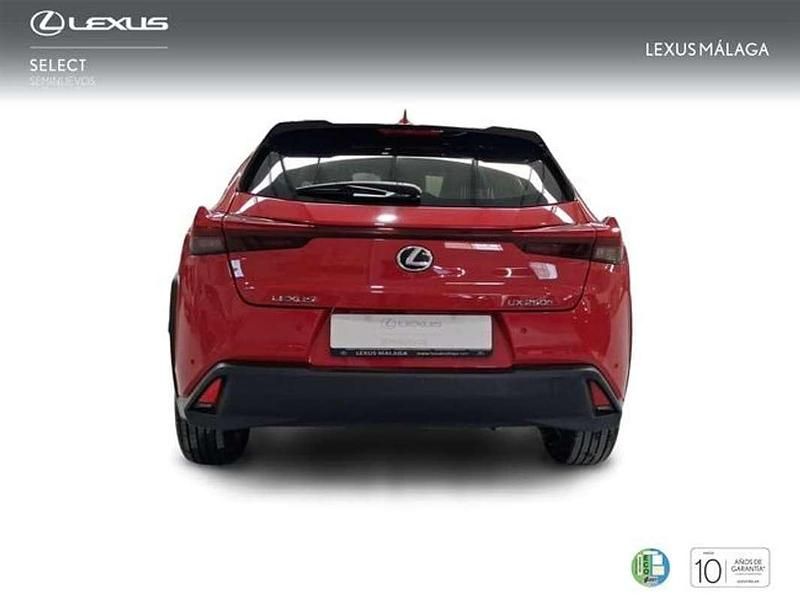 Usado Lexus UX 250h Business Edition 184 CV (135 kW) 2022 Rojo SUV