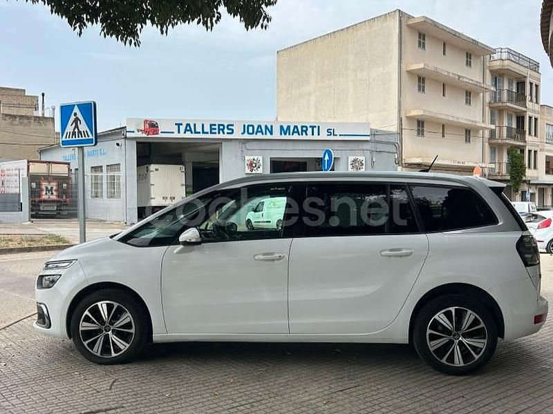 Usado Citroën C4 SpaceTourer Feel 163 CV (119 kW) 2019 Blanco Monovolumen