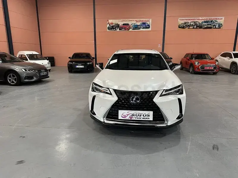 Usado Lexus UX Business Edition 184 CV (135 kW) 2021 Blanco SUV