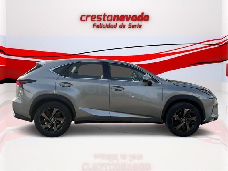 Usado Lexus NX300h Sport Line 197 CV (144 kW) 2019 Gris / plata SUV